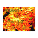 Daisies Hello Postcard
