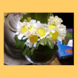 Daisies in a flower pot poster posters