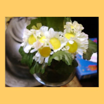 Daisies in a flower pot poster posters