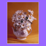 Daisies In Teapot PostCard postcards