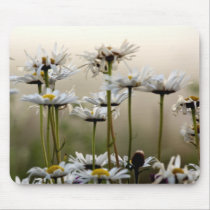 Daisies In The Fog Mouse Pad mousepads