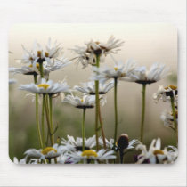 Daisies In The Fog Mouse Pad mousepads by sruhs Daisies In The Fog Mouse Pad mousepads