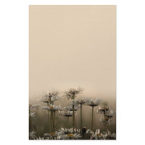 Daisies In The Fog stationery