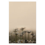 Daisies In The Fog stationery