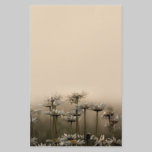 Daisies In The Fog stationery