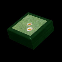 Daisies in the Grass gift boxes