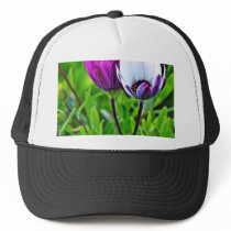Daisies In The Morning At Balboa Park hats by lifesphere Daisies In The Morning At Balboa Park hats