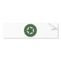 daisies-in-the-morning bumper sticker