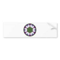 daisies-in-the-morning bumper stickers