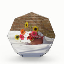 Daisies In The Snow awards
