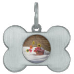 Daisies In The Snow Pet Tag