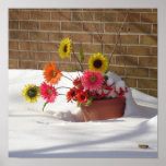 Daisies In The Snow Posters