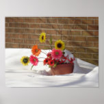 Daisies In The Snow Posters