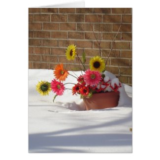 Daisies In The Snow Stationery Note Card 