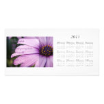 Daisies infinite Uplift in praise... 2011 Calender Photo Cards