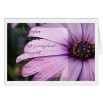 Daisies infinite Uplift in praise... cards