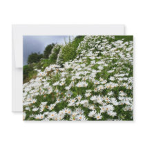 Daisies invitations by gavila_pt Daisies invitations