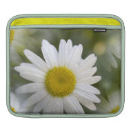 Daisies rickshawsleeve