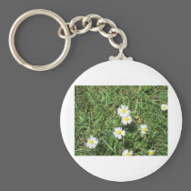 Daisies keychains