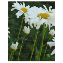 daisies letterhead by pinkypetals daisies letterhead