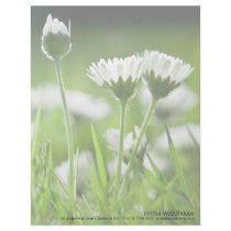 Daisies Personalized Letterhead