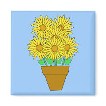 Daisies magnets