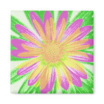 Daisies magnets