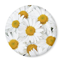 Daisies Magnet