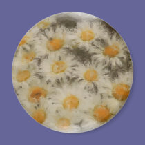 Daisies magnets
