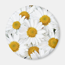 Daisies Magnet
