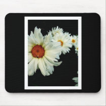 Daisies mousepads