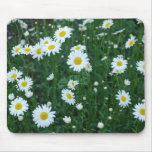 Daisies - Mousepad