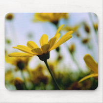 Daisies mousepads