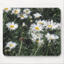 Daisies Mouse Pads