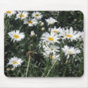 Daisies mousepads