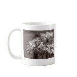 Daisies of Peace mugs