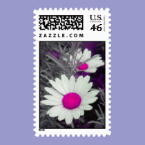Daisies -Pink stamps