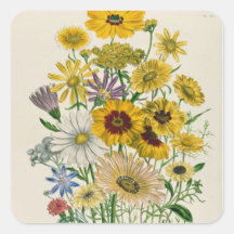 Daisies, plate 31 from 'The Ladies' Square Stickers