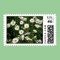 Daisies postage