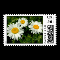 Daisies stamps