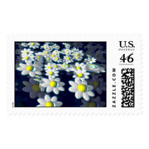 Daisies postage