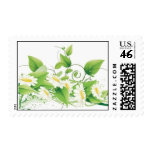 Daisies Postage Stamp