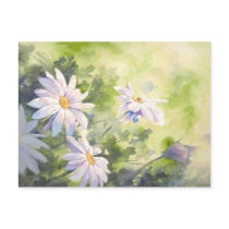 Daisies Postcard