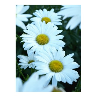 Daisies print