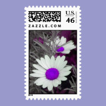Daisies -Purple Postage stamps