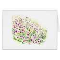 Daisies Reflecting Sunlight cards