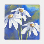 Daisies Refrigerator Magnets