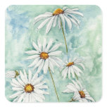 'Daisies' Square Sticker