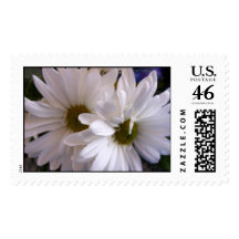 Daisies Stamp