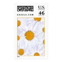Daisies stamp by cardtricks Daisies stamp